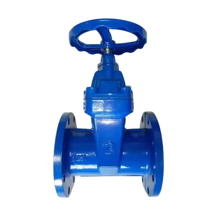 Ductile fè kache baton mou sele bride pòtay valv